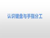 认识键盘与手指分工课件PPT