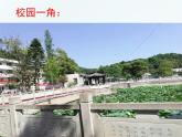 《探索信息技术》教学课件