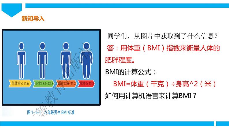 粤高教版八年级下册信息技术第1单元第1课 计算BMI 课件02