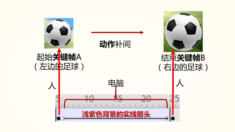 动画补间动画 教科版初中信息技术八年级下册 课件第8页