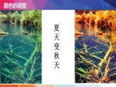 人教2021版（内蒙）2.1《调整色彩与添加特效》课件+教案