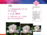人教2021版（内蒙）2.2.1《剪裁与拼接图像》课件+教案