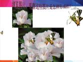 人教2021版（内蒙）2.2.2《图层的使用》课件+教案