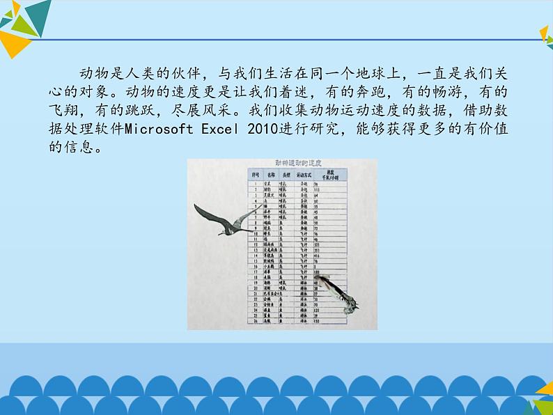 清华大学版 初中信息技术 七年级下册  2.3 动物的速度——工作表、单元格、填充柄-课件02