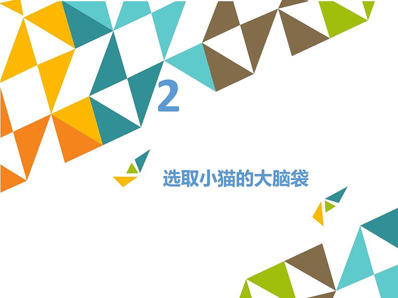 清华大学版 初中信息技术 七年级下册  3.9 喵咪凑趣——魔棒工具和模糊工具-课件05