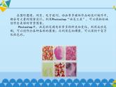 清华大学版 初中信息技术 七年级下册  4.11 花团锦簇——使用画笔工具和色相调整-课件