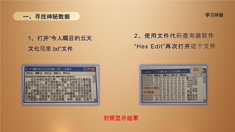 桂教版七年级下册信息技术 1.4计算机中的神秘数据 课件03