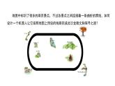 【优质课件】苏科版（2018） 初中信息技术 九年级全一册 2.2 灰度传感器  课件