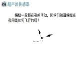 【优质课件】苏科版（2018） 初中信息技术 九年级全一册 2.3 超声波传感器 课件