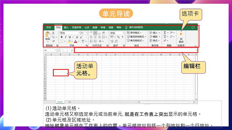 河北大学版信息技术七年级第一册 6.1《建立数据表格》课件+教案+素材07