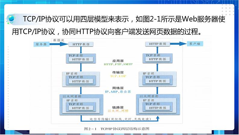 浙教版八年级下册信息技术第2课  网络服务与协议课件PPT第8页