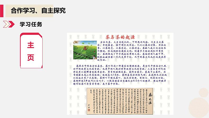 河大版信息技术八年级第一单元第二节《网页的基本操作》课件05