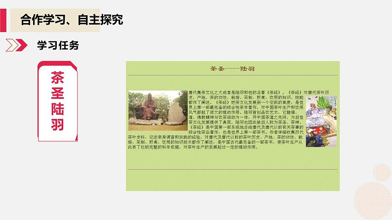 河大版信息技术八年级第一单元第二节《网页的基本操作》课件08