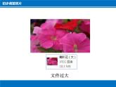 科学版七年级下册信息技术活动1 拍摄调整照片PPT课件