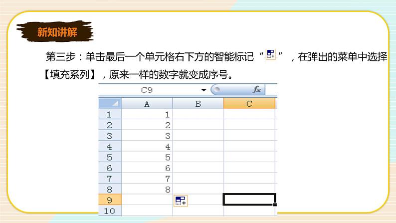 新世纪版七年级下册信息技术1.3  在表格中输入数据课件PPT第7页