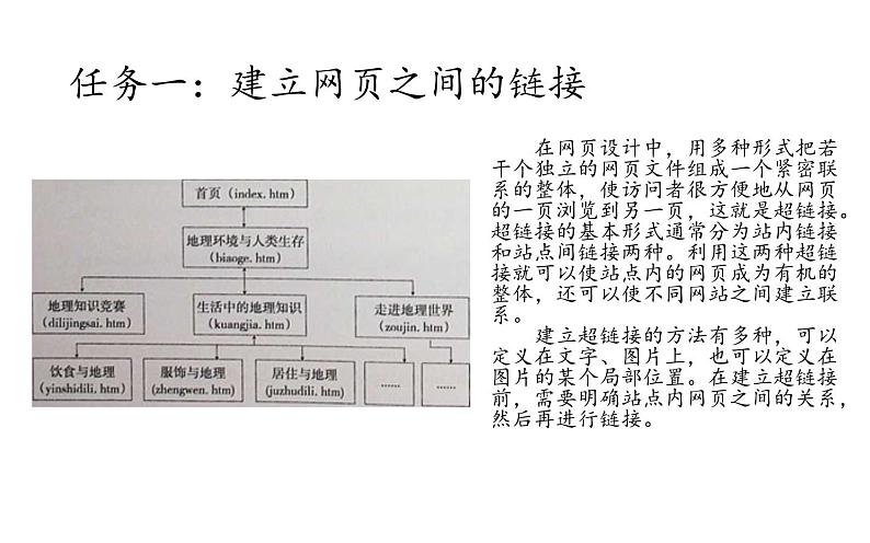 桂科版 信息技术八年级下册 主题五《网站的分布与评价》课件第4页