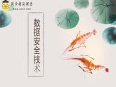 浙教版（2023）九年级全册 第2课 数据安全技术  课件
