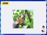 教科版（云南）信息技术七下第十三课《让多媒体作品“链”起来》 课件+教案