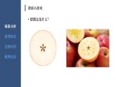 浙教版信息科技八下8.7【课件】图像识别技术