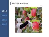 浙教版信息科技八下8.7【课件】图像识别技术
