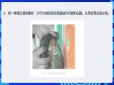 电子工业版信息技术九下 3.1《垃圾分类的应用分析》课件+教案