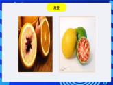 浙教版信息技术七下  第七课 《奇妙的图层》 课件