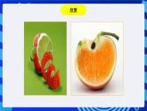 浙教版信息技术七下  第七课 《奇妙的图层》 课件