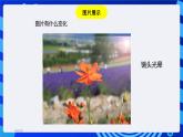 浙教版信息技术七下 第十课 《变幻的滤镜》课件