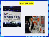 浙教版信息技术九下 第三课 《初识Visual Basic》课件