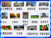 大连版信息技术七下 第三课《小猫报站名——链表的应用》课件