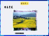 浙教版（广西、宁波）信息技术八下 第10课《花开花落——综合应用》课件+导学案+素材