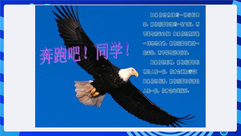 沪科版信息技术七年级下册 4.1《插入图片、艺术字和文本框》 课件 (2)第3页