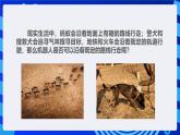 甘教版信息技术八年级下册1.5《循迹机器人》课件+教案