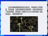甘教版信息技术八年级下册1.6《向着光明前行》课件+教案