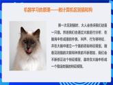 甘教版信息技术八年级下册2.2《让机器懂得学习》课件+教案