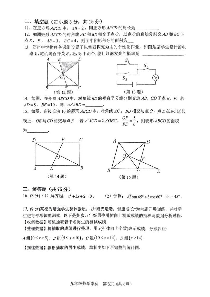 2024～2025郑州中学(二)学情调研试卷(三份打包含答案)第3页