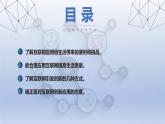 第五單元 23課 在線生活創(chuàng)意多 課件2024—2025學(xué)年人教版（2024）初中信息技術(shù)七年級全一冊
