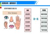 《常見(jiàn)的傳感器》課件 浙教版信息技術(shù)七年級(jí)下冊(cè)