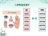 第6課 常見的傳感器 課件 2025-2026學(xué)年七年級(jí)下冊(cè)信息技術(shù)浙教版