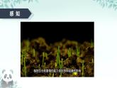 第7課 傳感器的應(yīng)用 課件 2025-2026學(xué)年七年級(jí)下冊(cè)信息技術(shù)浙教版