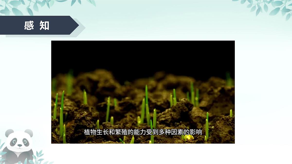 第7课 传感器的应用 课件 2025-2026学年七年级下册信息技术浙教版第3页