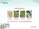 第10課 物聯(lián)系統(tǒng)原型搭建 課件 2025-2026學(xué)年七年級(jí)下冊(cè)信息技術(shù)浙教版