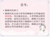 任务一 初识计算机网络 课件