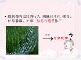 任务一 初识计算机网络 课件