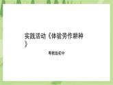 第二单元第4课实践活动《体验劳作耕种》课件＋教案