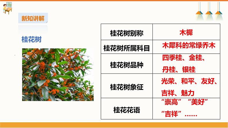 初中第十三课《四季桂花树》课件第4页