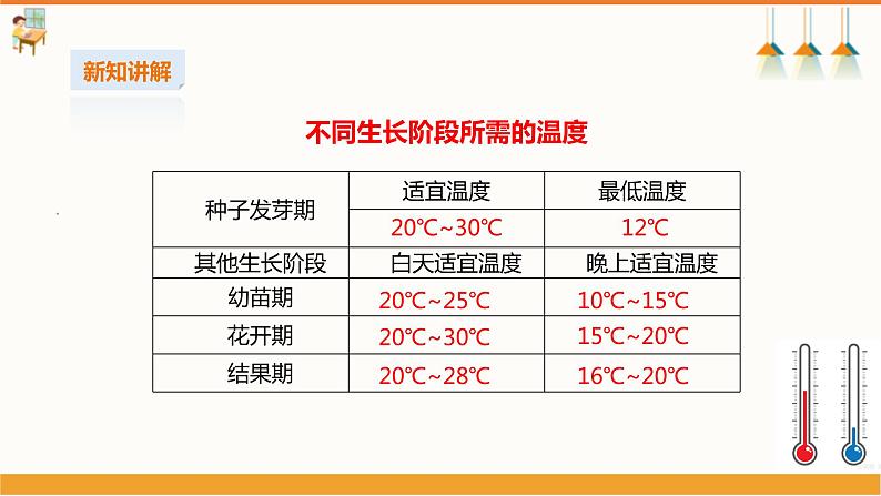 初中第十四课《樱桃番茄》课件第7页