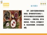 【浙教版】七下劳动  项目一任务三《学包粽子》（课件+教案）
