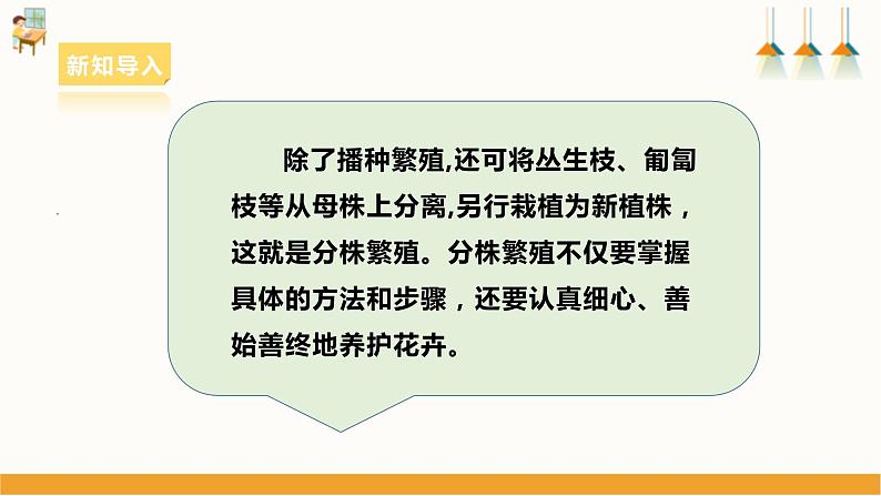 浙教版七下项目二任务二《花卉的分株繁殖》课件第4页