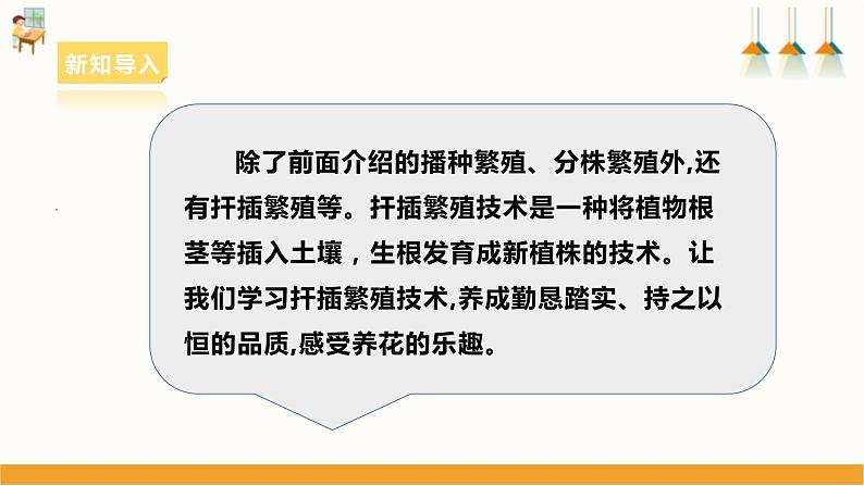 浙教版七下项目二任务三《花卉的扦插繁殖》课件第5页